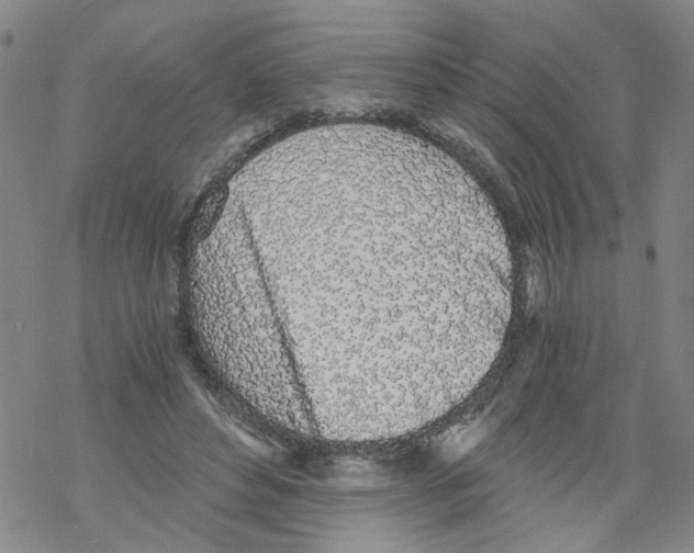 X0000068280496200605191857