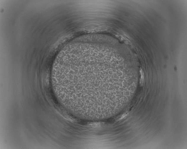 X0000068280499200605191857