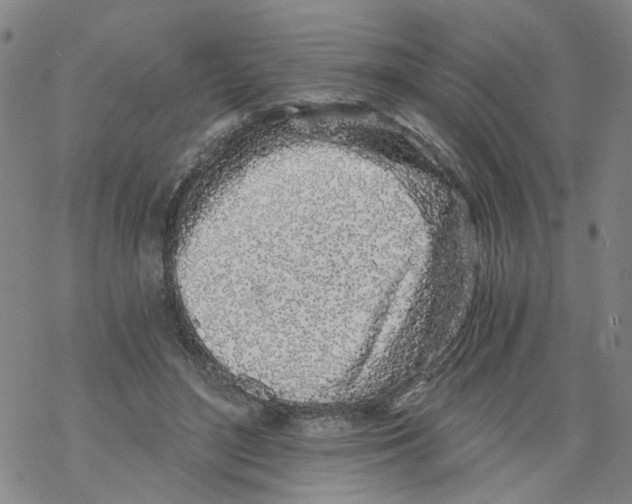 X0000068280500200605191857