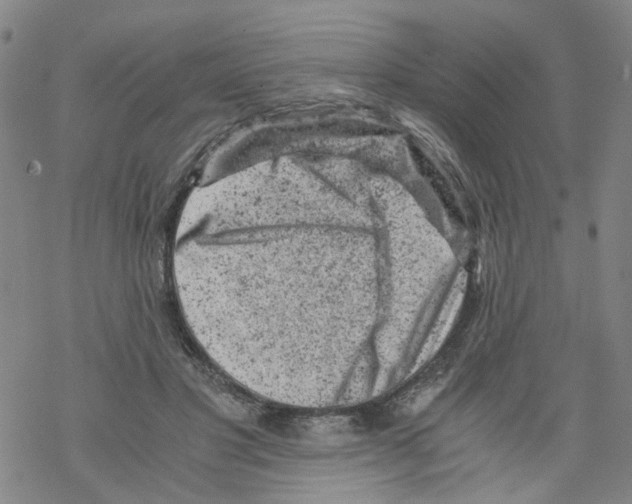 X0000068280501200605191857