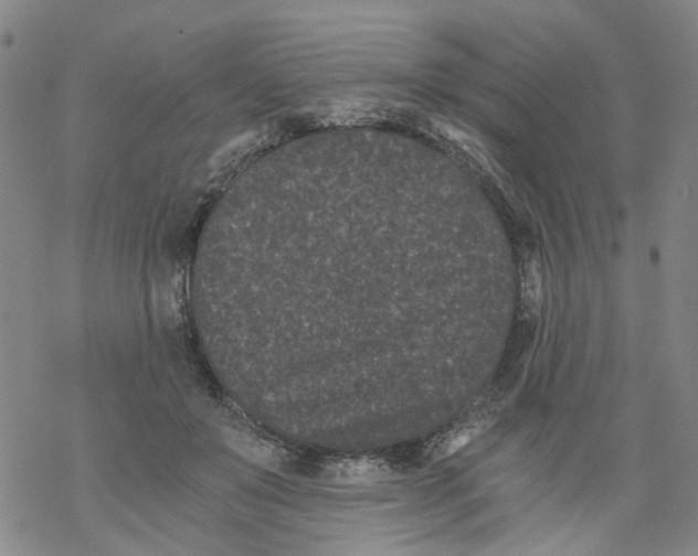 X0000068280503200605191857