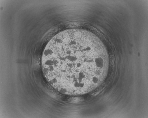 X0000068280507200605191857