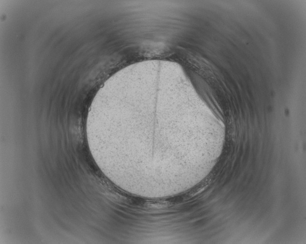 X0000068280510200605191857