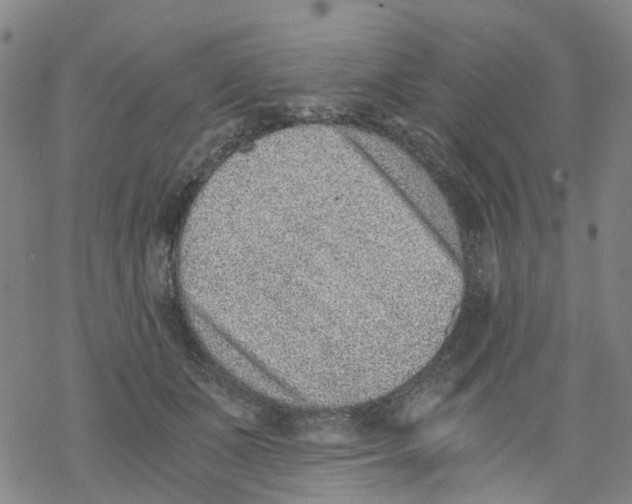 X0000068280511200605191856