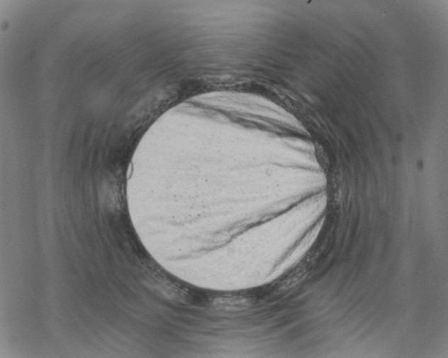 X0000068280515200605191856