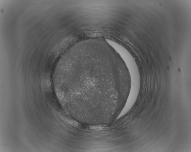 X0000068280516200605191856