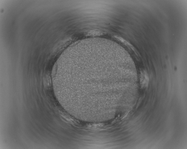 X0000068280517200605191856