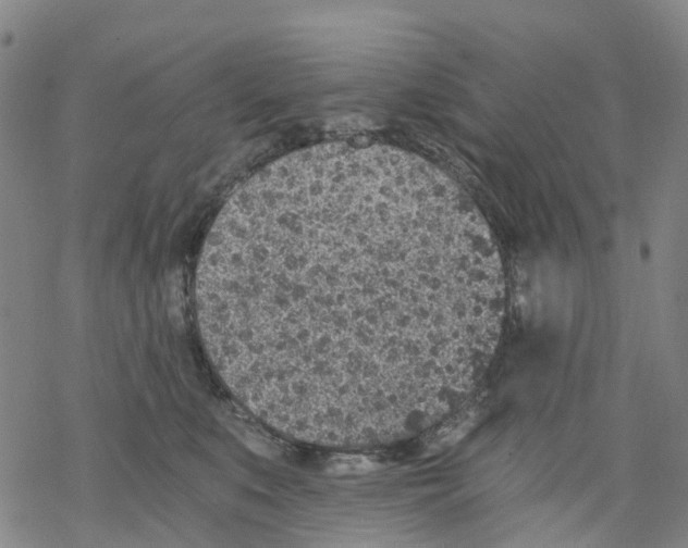 X0000068280519200605191856