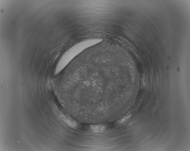 X0000068280520200605191856