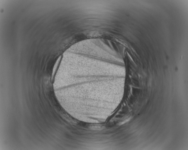 X0000068280521200605191856