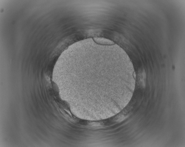 X0000068280522200605191856