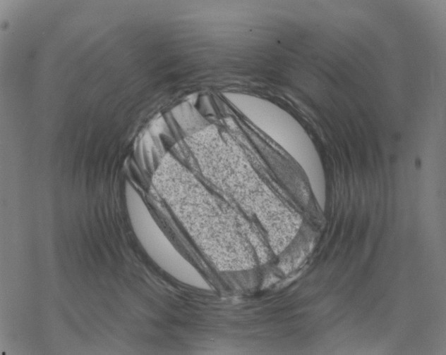 X0000068280524200605191856