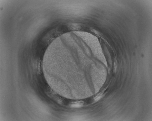 X0000068280525200605191856