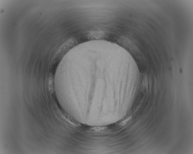 X0000068280526200605191856