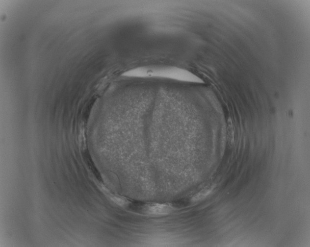 X0000068280527200605191856