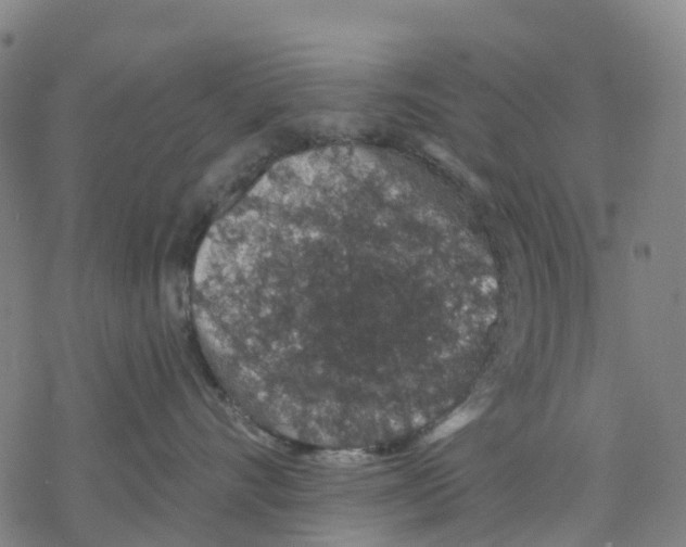 X0000068280528200605191856