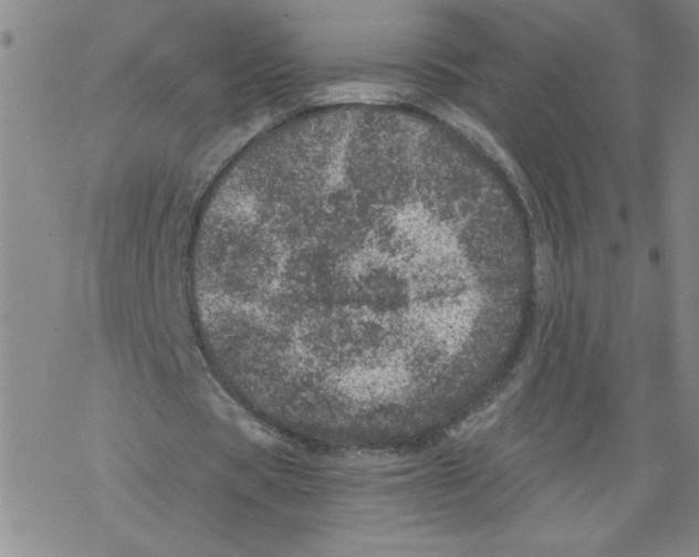 X0000068280529200605191855