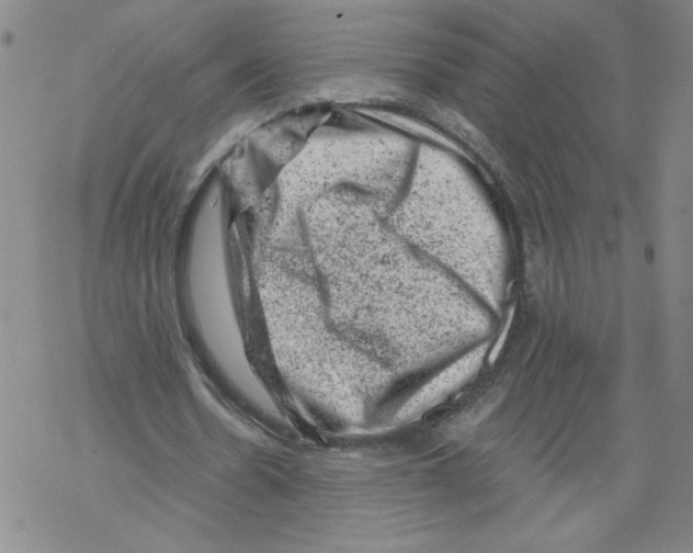 X0000068280530200605191855