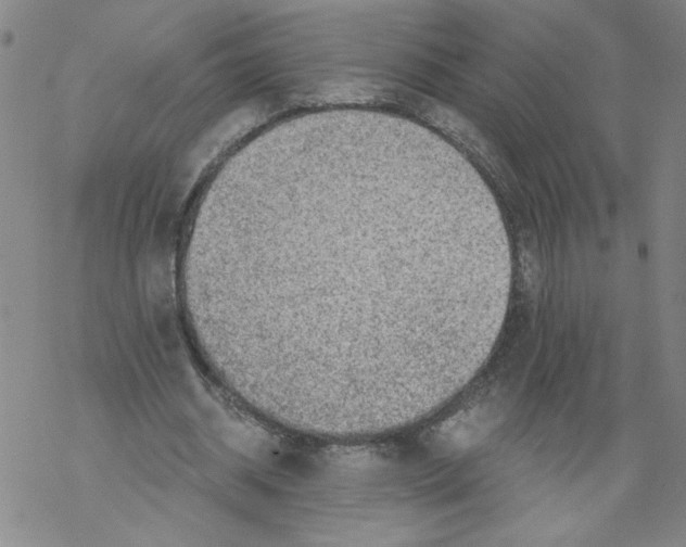 X0000068280534200605191856