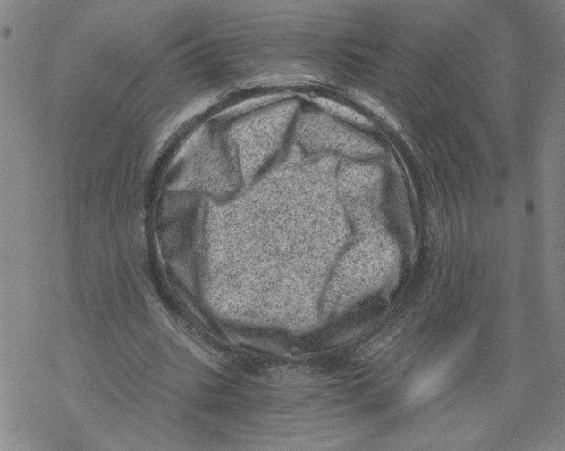 X0000068280535200605191856