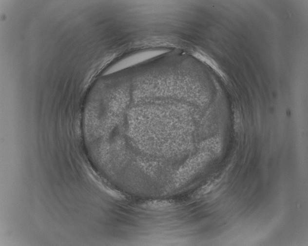 X0000068280537200605191856