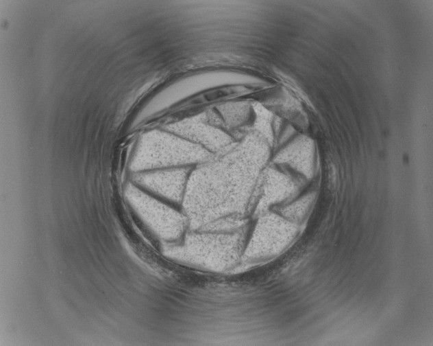 X0000068280538200605191856