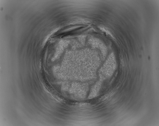 X0000068280539200605191856