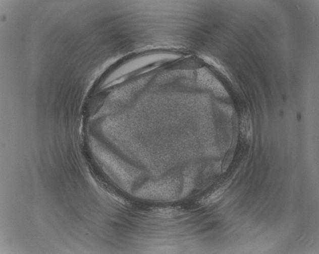 X0000068280540200605191856