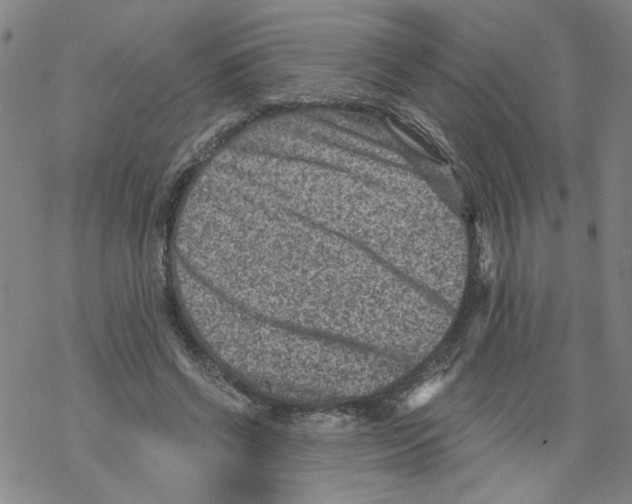 X0000068280542200605191856