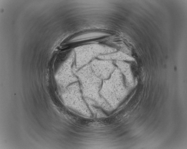 X0000068280544200605191856