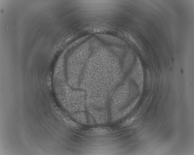 X0000068280545200605191856