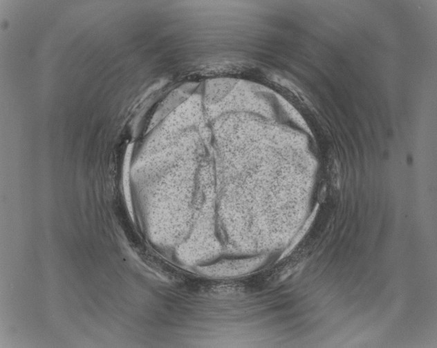 X0000068280546200605191856