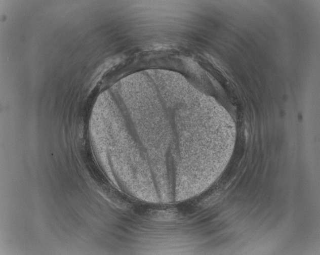 X0000068280548200605191856