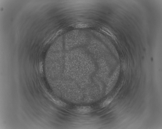 X0000068280549200605191856