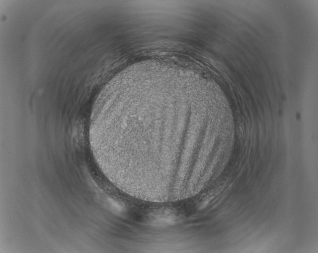 X0000068280551200605191856