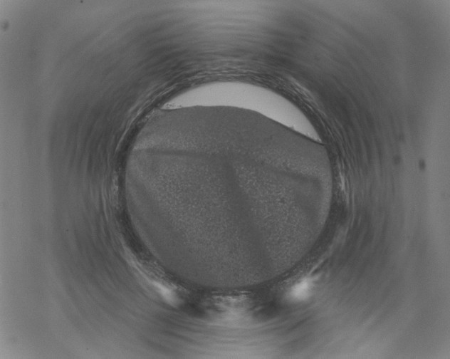 X0000068280552200605191856