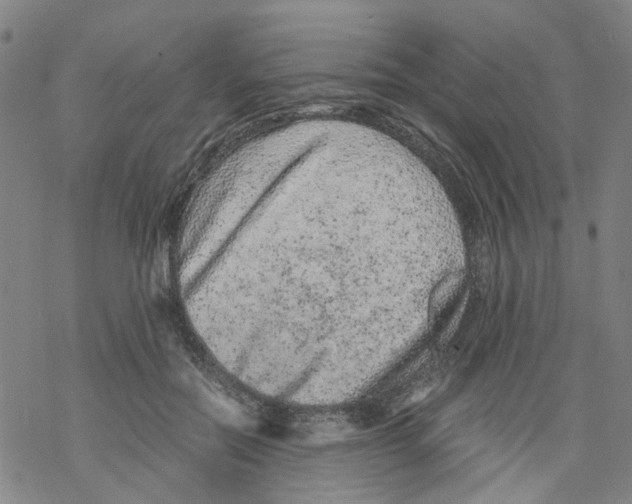 X0000068280554200605191856