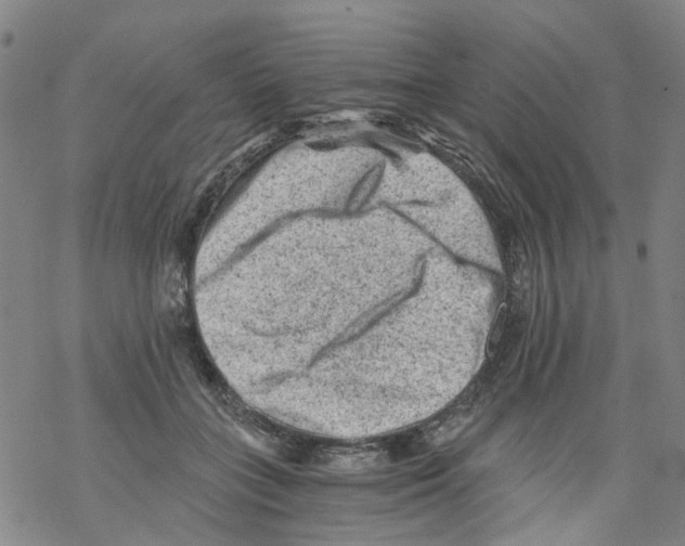 X0000068280555200605191856