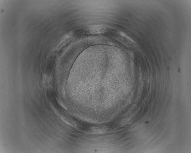 X0000068280556200605191856