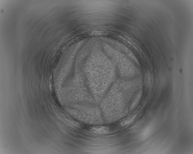 X0000068280557200605191856