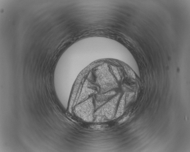 X0000068280558200605191856