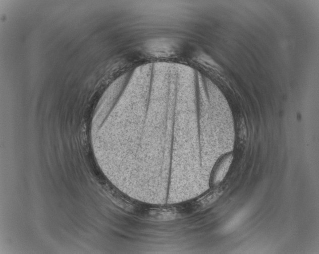 X0000068280559200605191856