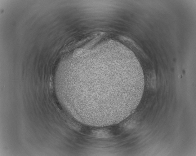 X0000068280561200605191856