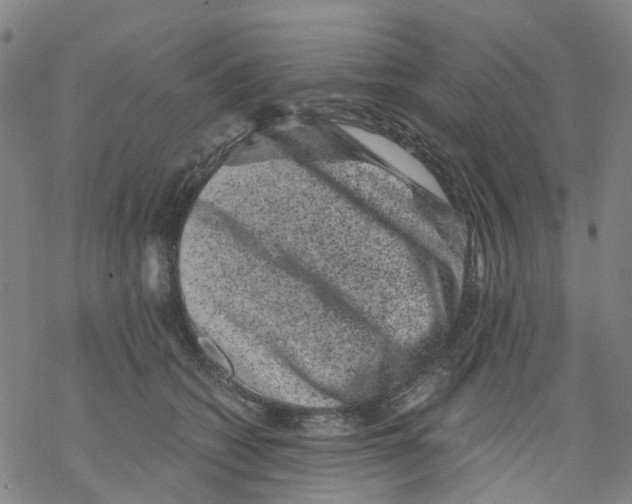 X0000068280562200605191856