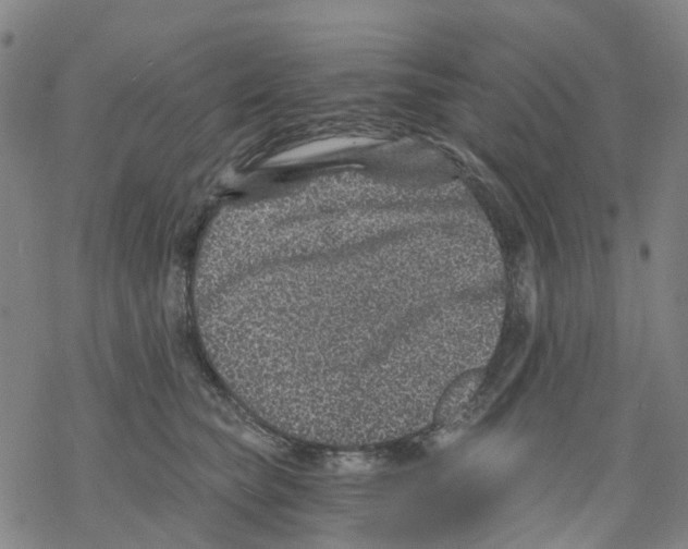 X0000068280565200605191856