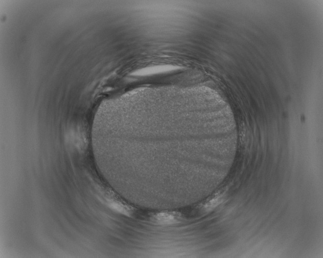 X0000068280566200605191856