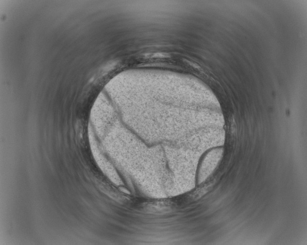 X0000068280567200605191856