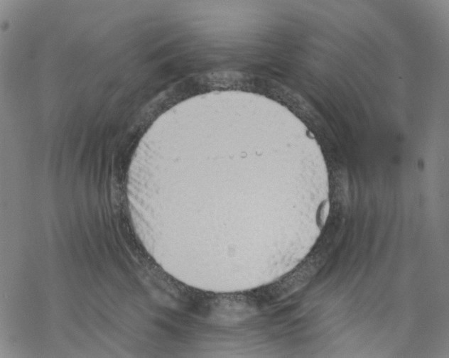 X0000068280569200605191856