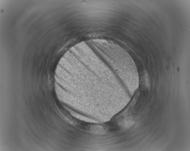 X0000068280572200605191856