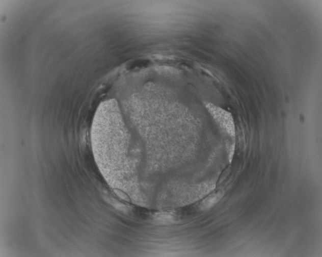 X0000068280574200605191856